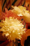 Paper Flower and Ribbon Decor